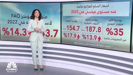 أسعار السلع الغذائية عند مستوى قياسي.. فماذا عن توقعات العام الحالي؟