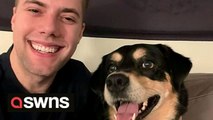 A comedian spent six months training his housemate's dog to recognise Thin Lizzy's 