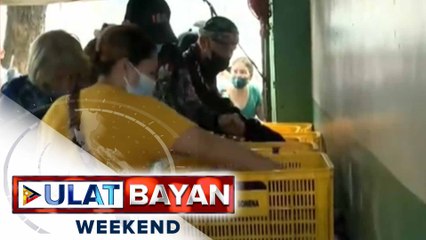 Pag-angkat ng 22-K metric tons ng sibuyas, irerekomenda ng DA