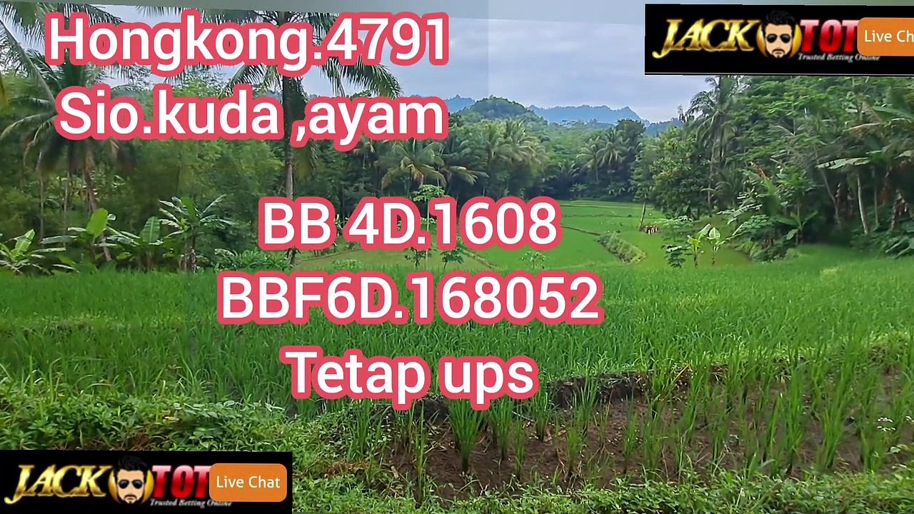 hk minggu 08/01/23