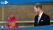 “Elle avait ri” : le prince Harry dévoile les derniers mots qu’il a échangés avec la reine Elizabeth