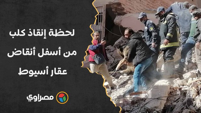قوات الحماية المدنية.. لحظة إنقاذ كلب من أسفل أنقاض عقار أسيوط المنهار