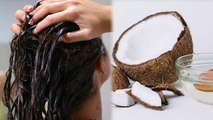 बालों में नारियल तेल और दही लगाने के फायदे | बालों में नारियल तेल और दही लगाने से क्या होता है