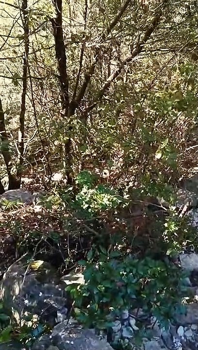 Y2Mate.is - Ρέμα Ορλιάς Ολύμπου-YkyH5v23DT0-720p-1656880001008