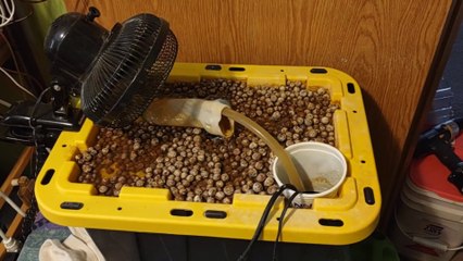 DIY Whole House Humidifier for Under $50 - Puts Out Up to 6 Gallons a Day