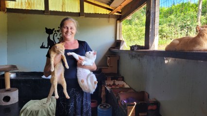 Protetores independentes cuidam de mil animais em Apucarana