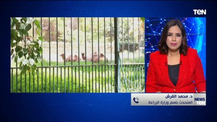 أول رد رسمي من وزارة الزراعة بشأن نقل تبعية حديقة الحيوان والأورمان إلى جهة أخرى