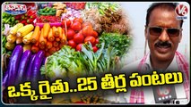 Farmer Farming 25 Varieties Of Crops In 25 Acres Of Land | V6 Teenmaar