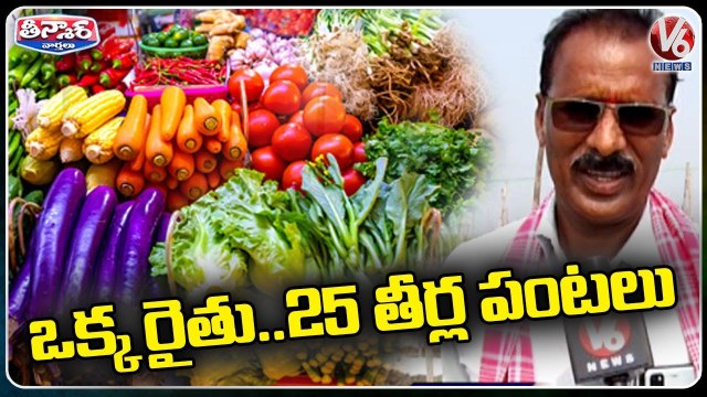 Farmer Farming 25 Varieties Of Crops In 25 Acres Of Land | V6 Teenmaar