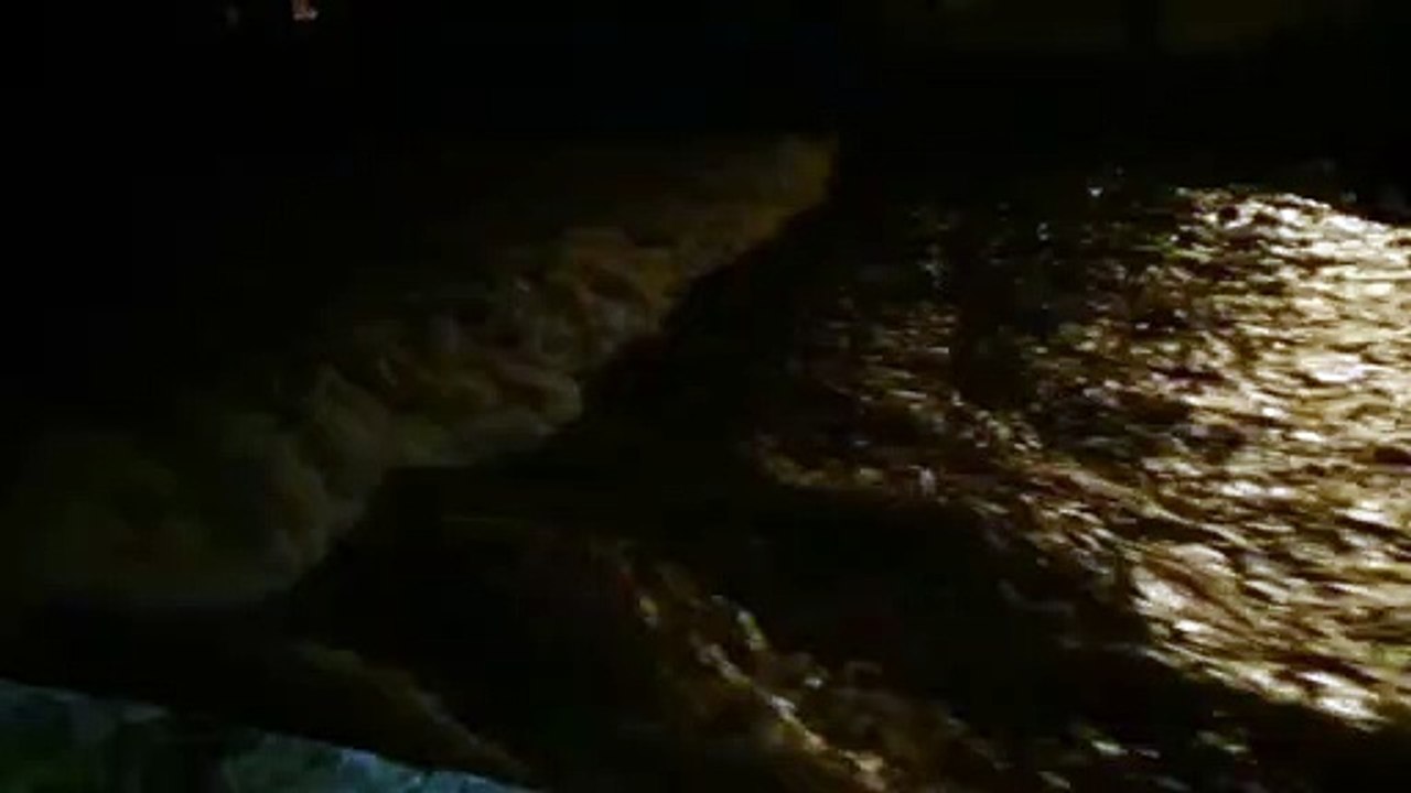 Revinuesa