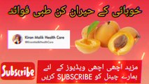 Khubani Ke Fayde Fawaid Urdu Hindi