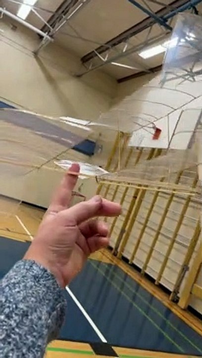 Biplane Penny Plane Takes Flight