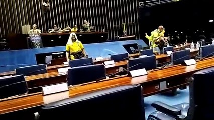 Bolsonaristas invadem Senado Federal e escorregam no plenário