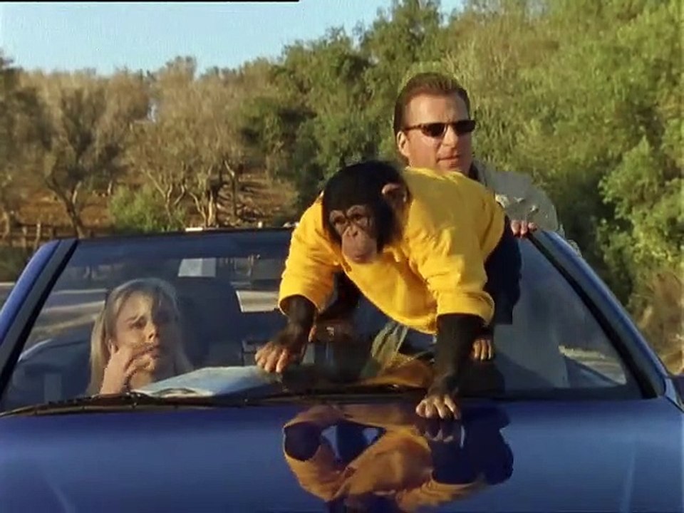 Unser Charly Staffel 8 Folge 13