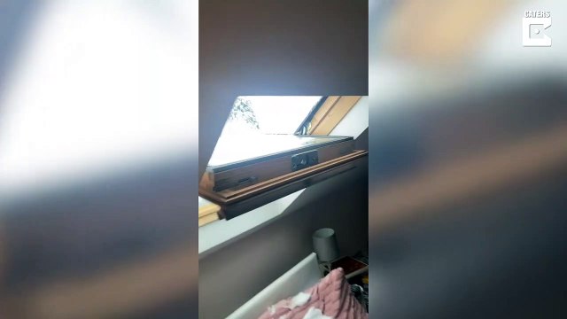 Il n'avait pas vraiment prévu ça en ouvrant sa fenêtre de toit