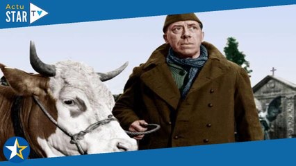 La Vache et le Prisonnier : pourquoi le réalisateur Henri Verneuil aurait préféré Bourvil à la place