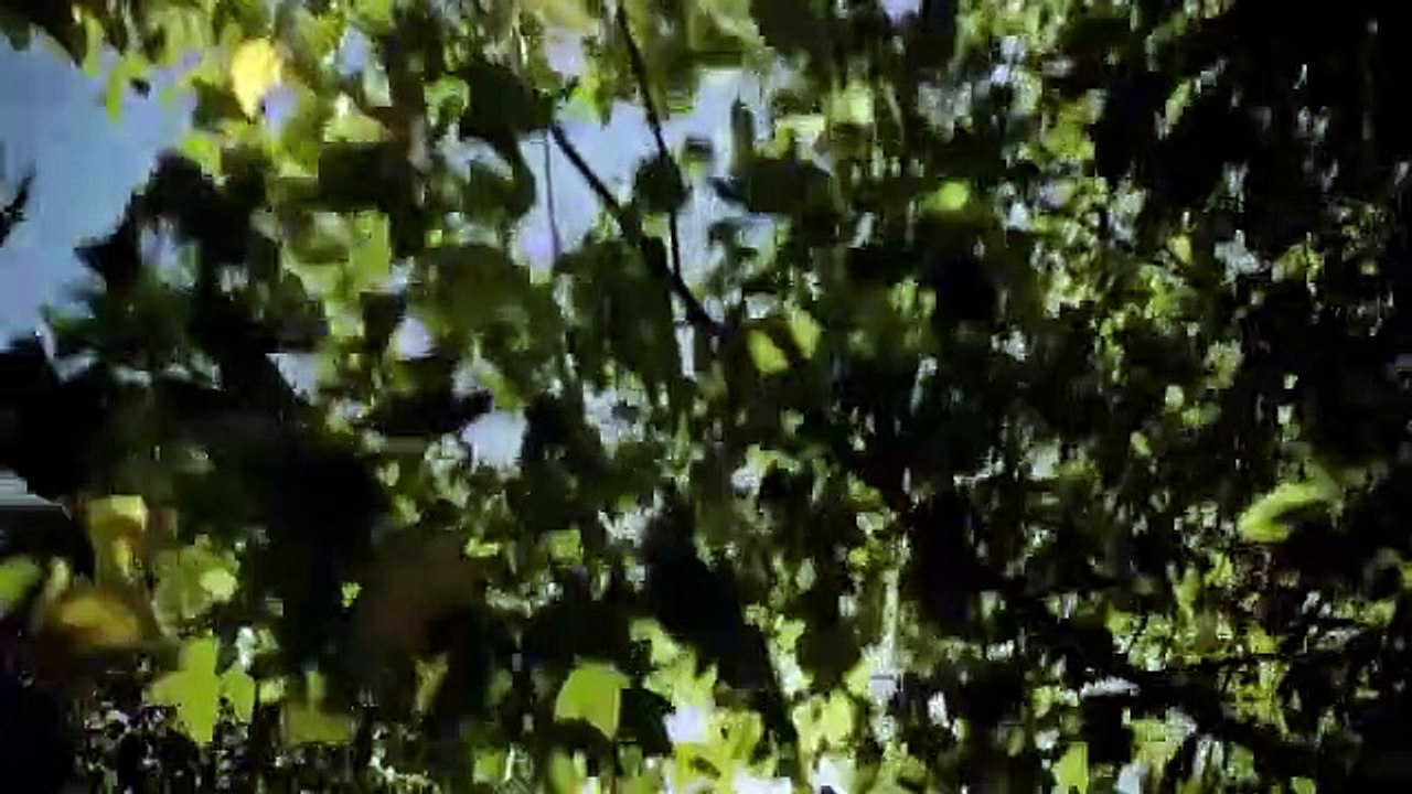 Rogue - se2 - ep03 - you just get used to it hd watch