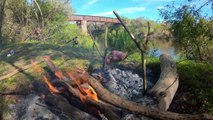 PESCANDO en increíble arroyo, COCINA y naturaleza, Pesca de bogas, Aventura, Pesca de Barrio