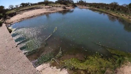 Pescando en la Calzada Rota y Puente Las Achiras, Recorriendo Hermoso Lugar para Pescar