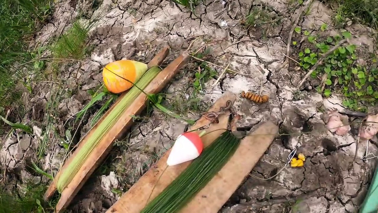 Pesca Variada, Recorrida y Naturaleza, Pescando Bagres y Mojarras en el Rio Gualeguaychú