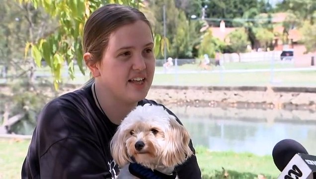 NSW Labor unveils plan to help tenants have pets in rental properties