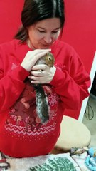 Butters the Squirrel Helps Fold Laundry
