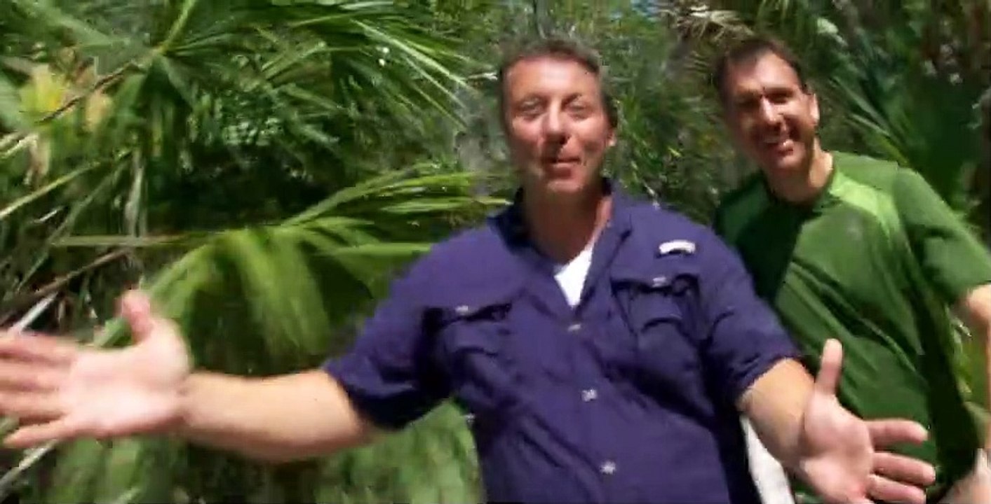 Wild Kratts S03 E20