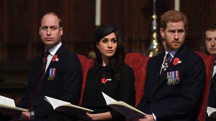 Prince Harry says William ‘aired concerns’ over his relationship with Meghan