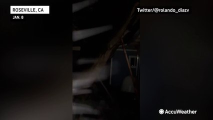Downed tree breaks down wall