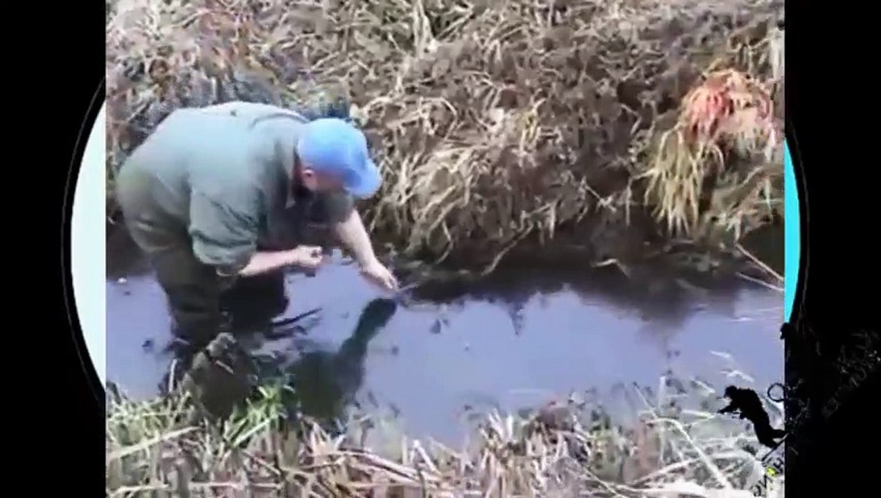 Beautiful Girl Fishing - Amazig Fishing at Battambang - Cambodia Traditional Fishing (Part 76) (2)