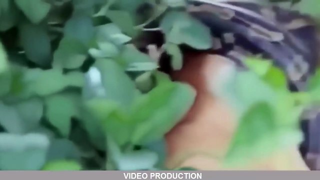 야생 동물 싸움 - 거대한 아나콘다의 공격을 인간의 거대한 아나콘다 가장 놀라운 야생 동물 공격 (2)