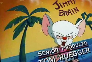 Pinky and the Brain Pinky and the Brain S01 E013 Fly