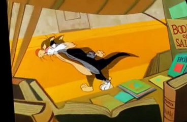 Sylvester and Tweety 1976 Sylvester and Tweety 1976 E087 The Pied Piper Of Guadalupe