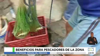 ¡La Subienda ya Llegó a Honda, Tolima! 🎣