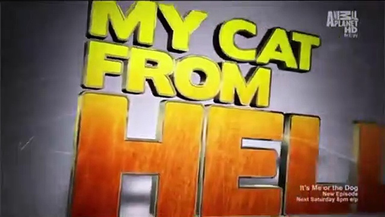 My Cat from Hell Se1 Ep01 He Hates My Boyfriend HD Watch video