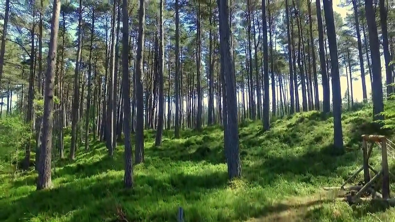 Churchill's Secret Agents - The New Recruits - Se1 - Ep01 - Selection HD Watch