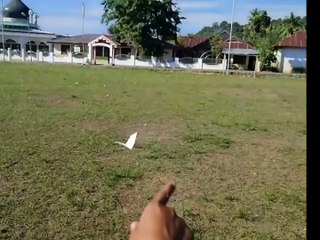Cara Membuat Pesawat Kertas Terbang Deperti Kelelawar