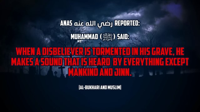 [TRIGGER WARNING] COCKATOO HEARS SINNERS PUNISHED IN GRAVE_! Bird Break Out Punishment Of Grave | Qabar Ki Pehli Raat | The First Night In Your Grave Bayan Videos | Night of Grave | the qabar azab