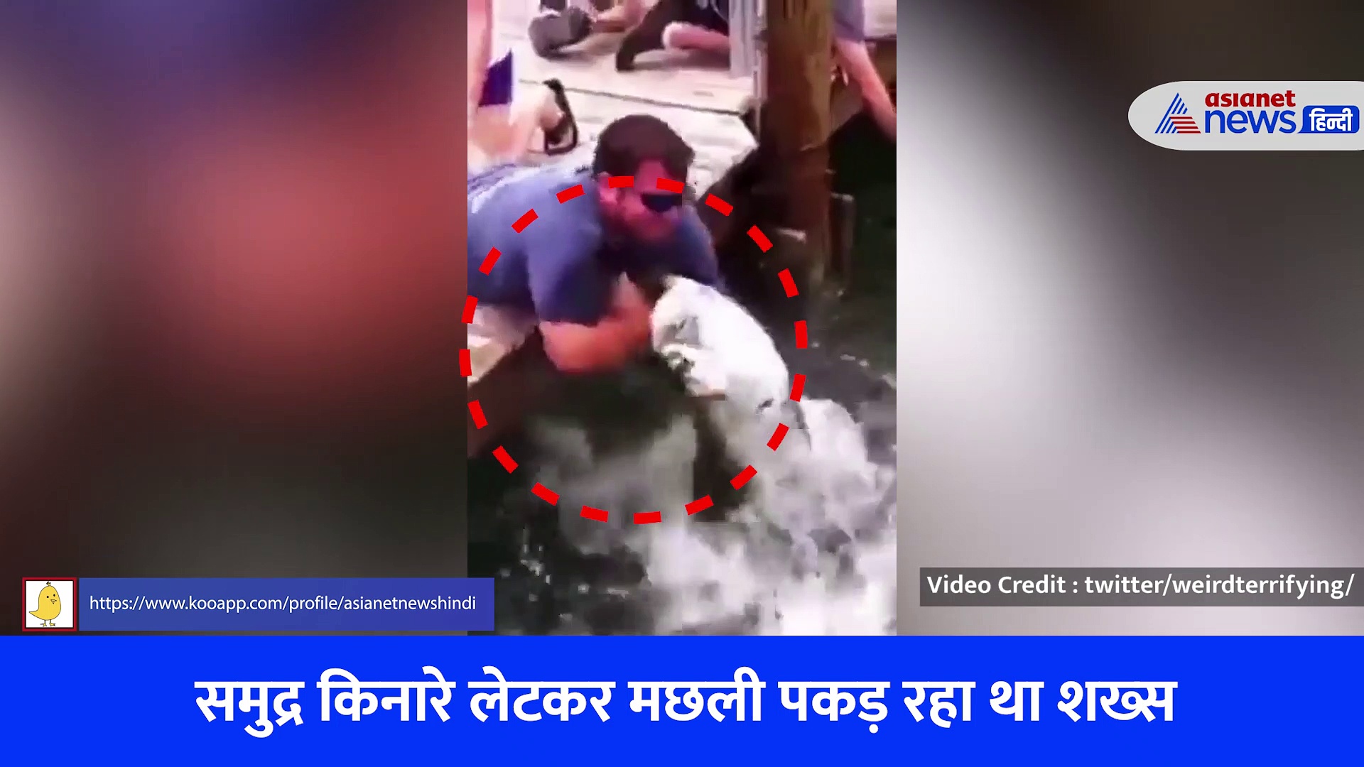 भयानक वीडियो : लेटकर मछली पकड़ रहा था शख्स, तभी पानी से बाहर आई खूंखार मछली ने चबा लिया हाथ