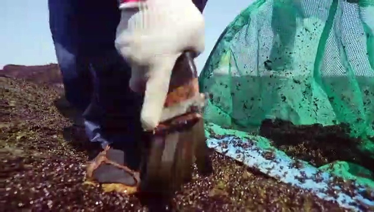 Flavorful Origins - Se1 - Ep07 HD Watch