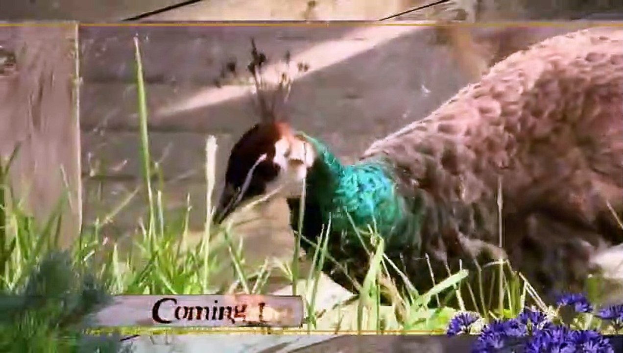 Hope in the Wild - Se1 - Ep21 HD Watch