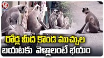 Public In Fear Over Monkeys Attacks _ Karimnagar _ V6 News