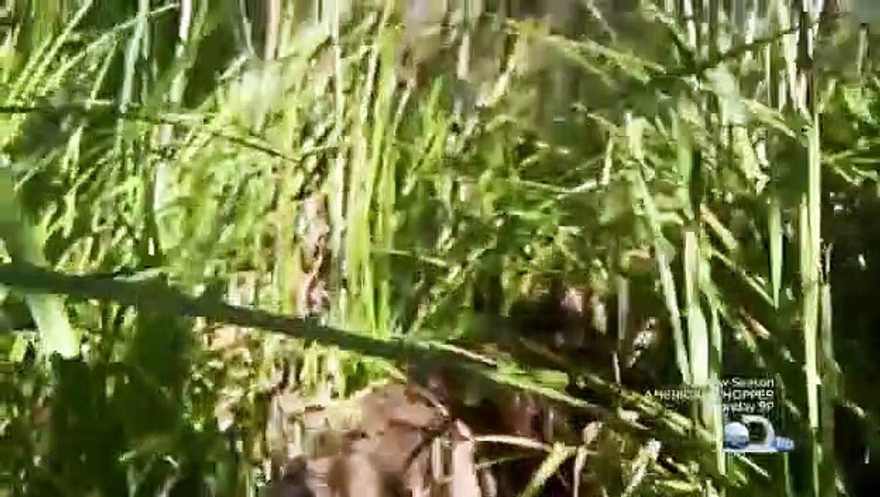 Surviving the Cut - Ep06 HD Watch