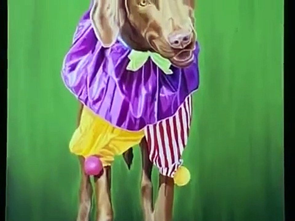 Dog Whisperer with Cesar Millan - Se1 - Ep04 HD Watch