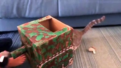 Try Not to Laugh Funniest Cats and Dogs Videos Ever 2023