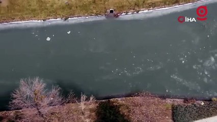 Buz tutan Porsuk Çayı havadan görüntülendi