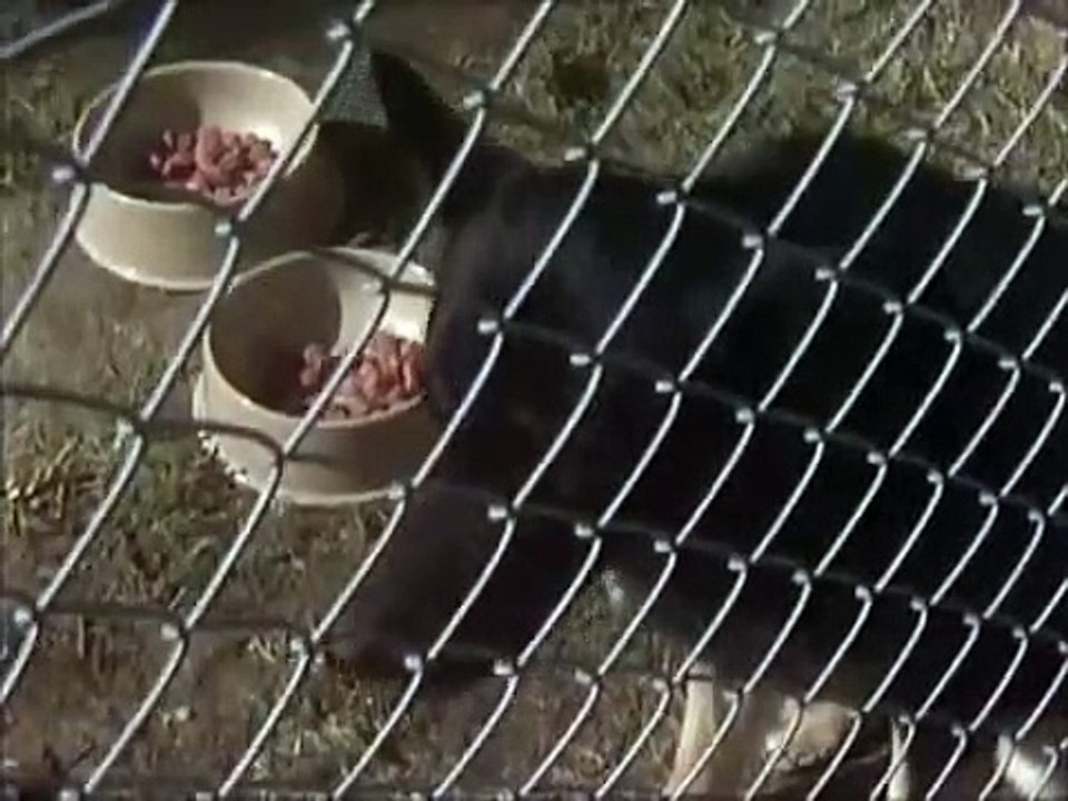 Prisoner - Cell Block H - Se1 - Ep257 HD Watch