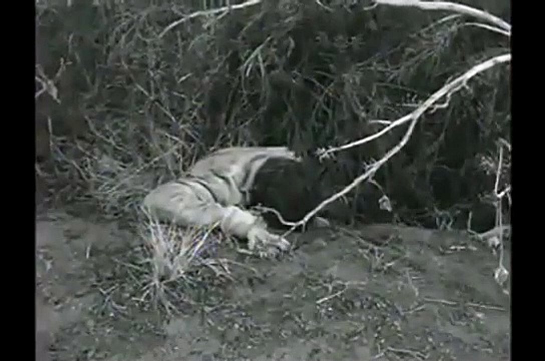 Wagon Train - Se3 - Ep28 HD Watch