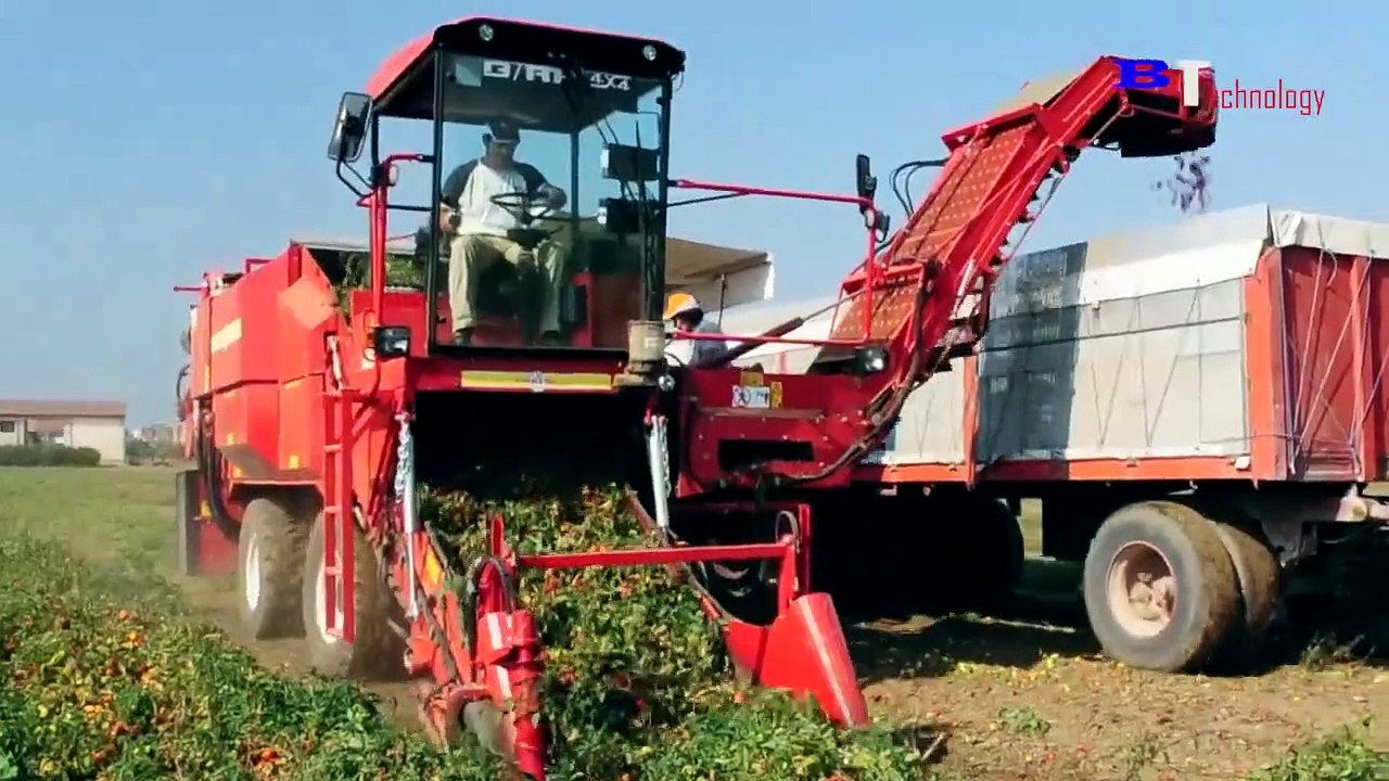 Modern Agricultural Harvesting Machines - Tomato Harvesters - Apple Processing Lines at The Factory