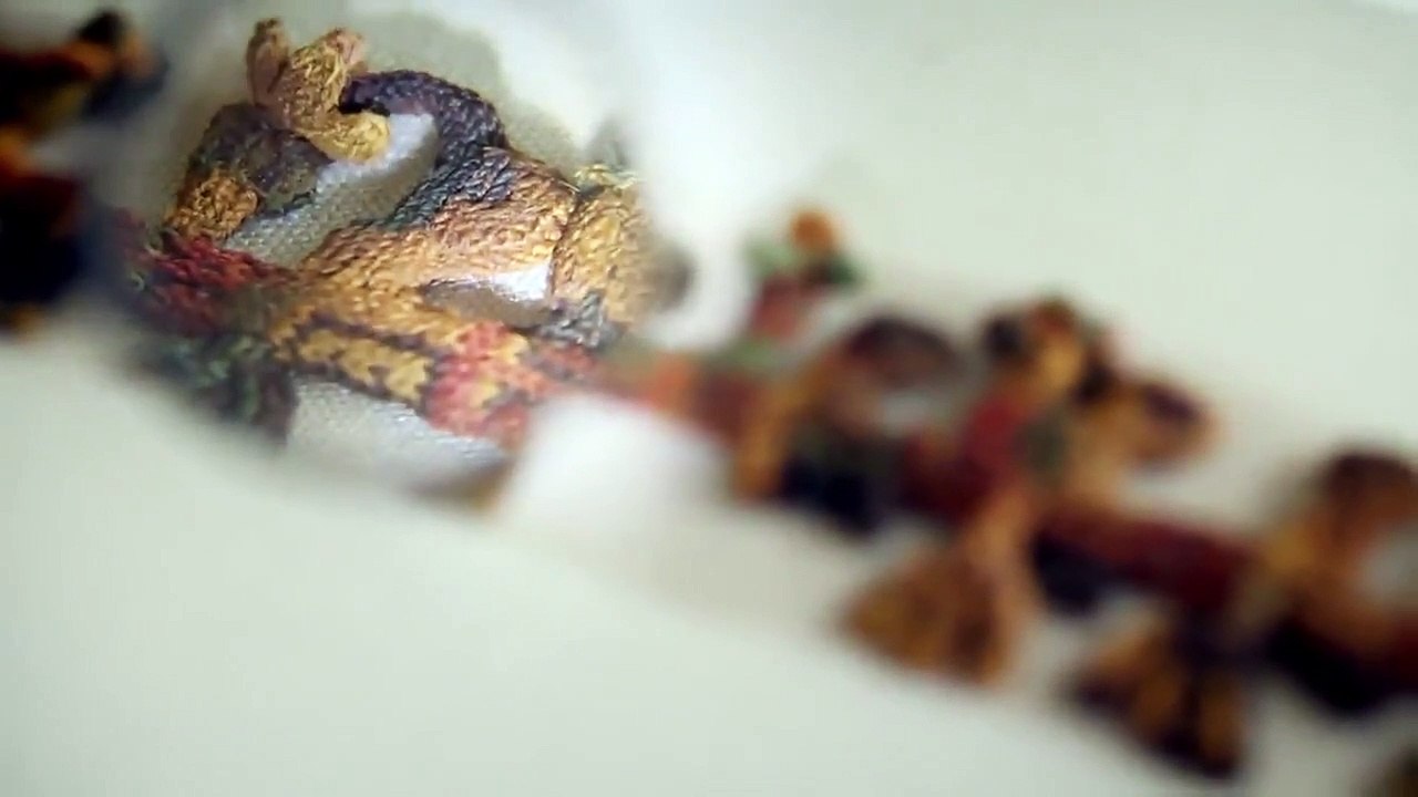 Unearthed (2016) - Se5 - Ep01 - Mysteries in the Alien Desert HD Watch